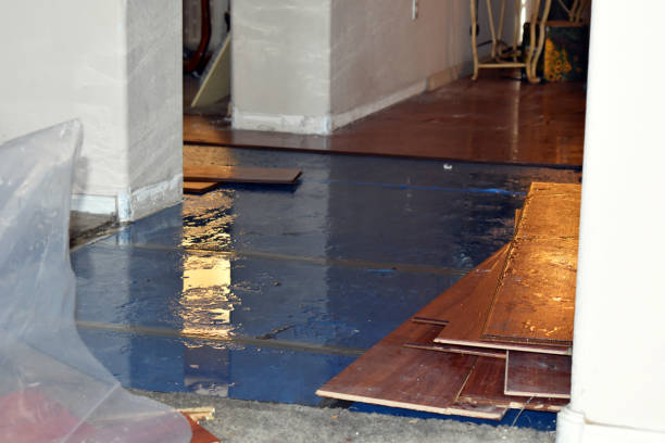 Professional Emergency Water Damage Restoration technician working in Greendale, WI